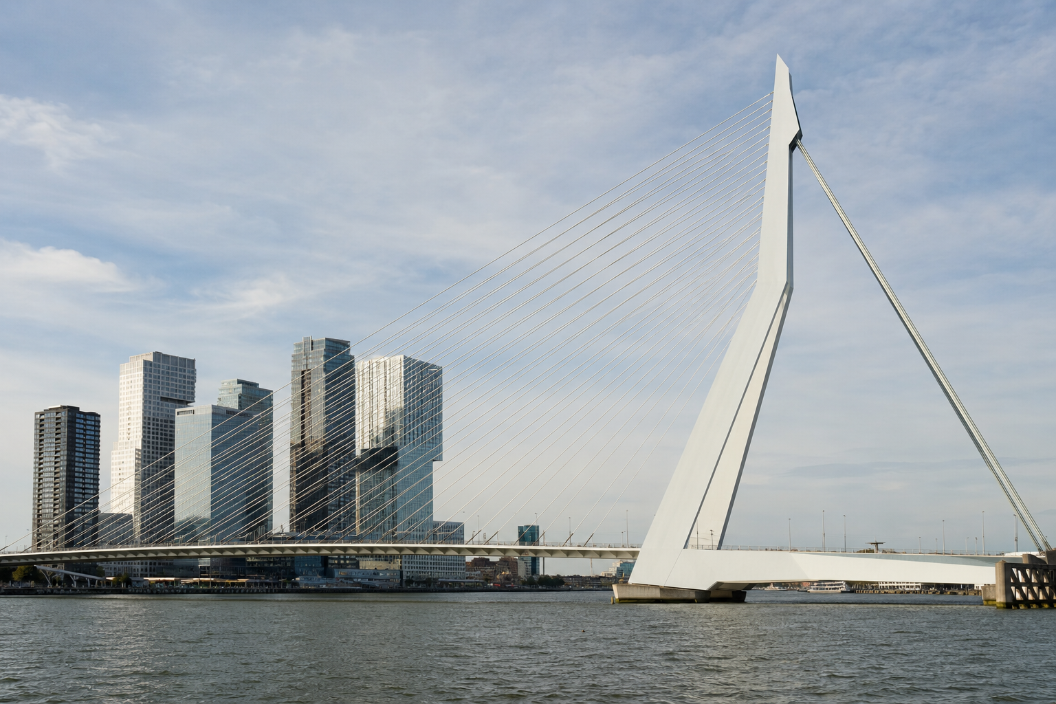 De Erasmusbrug over de Nieuwe Maas met de skyline van Rotterdam